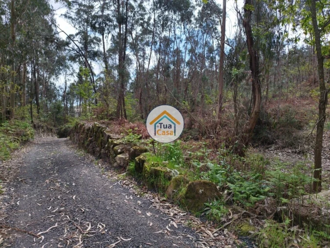 Terreno para Venda em Silveiros e Rio Covo (Santa Eulália) Foto 6