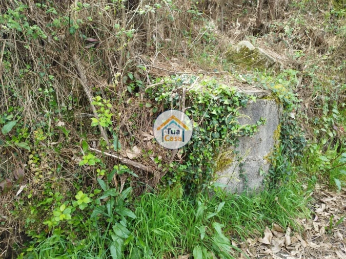 Terreno para Venda em Silveiros e Rio Covo (Santa Eulália) Foto 7