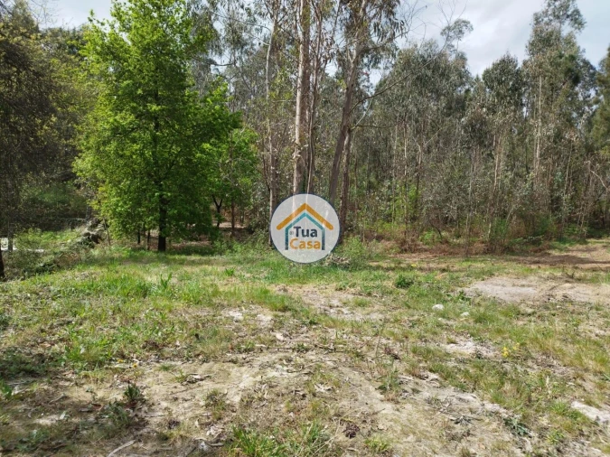 Terreno para Venda em Silveiros e Rio Covo (Santa Eulália) Foto 14