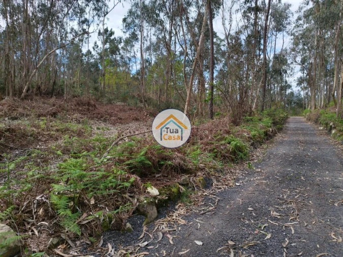 Terreno para Venda em Silveiros e Rio Covo (Santa Eulália) Foto 9