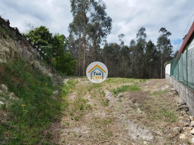 Terreno para Venda em Silveiros e Rio Covo (Santa Eulália) Foto 18