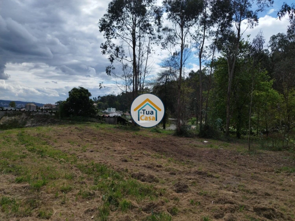 Terreno para Venda em Silveiros e Rio Covo (Santa Eulália) Foto 2