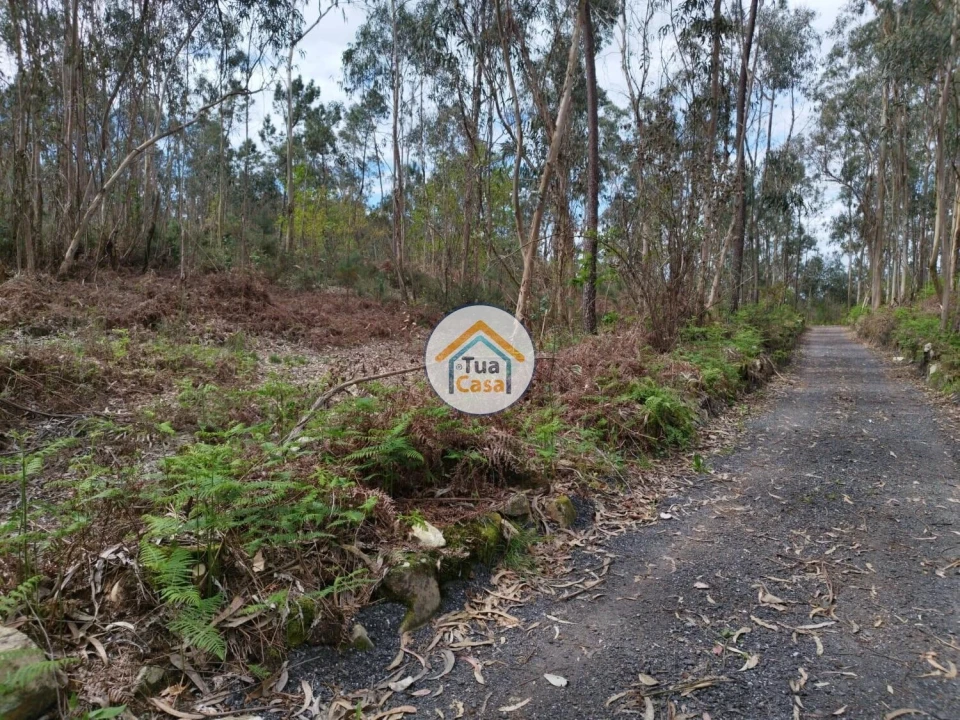 Terreno para Venda em Silveiros e Rio Covo (Santa Eulália) Foto 9