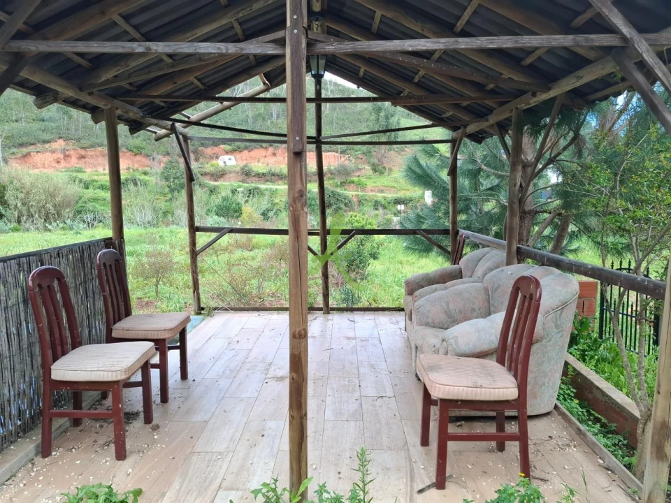 Terreno para Venda em Mexilhoeira Grande Foto 47