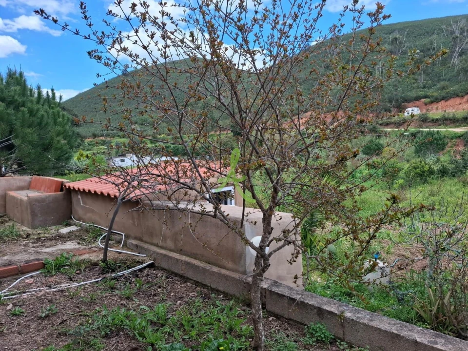 Terreno para Venda em Mexilhoeira Grande Foto 22