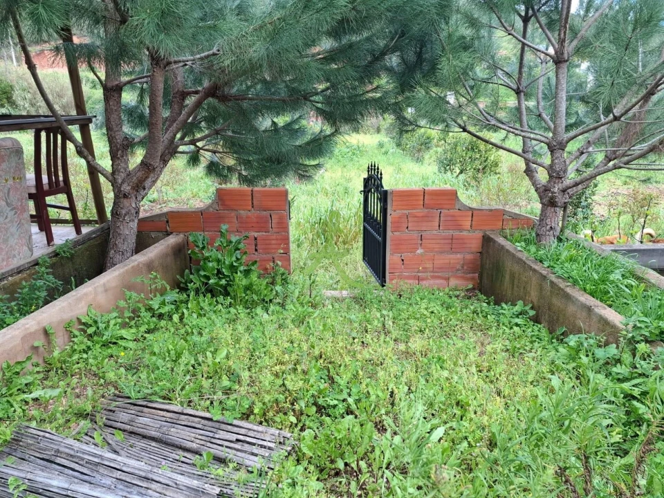 Terreno para Venda em Mexilhoeira Grande Foto 45