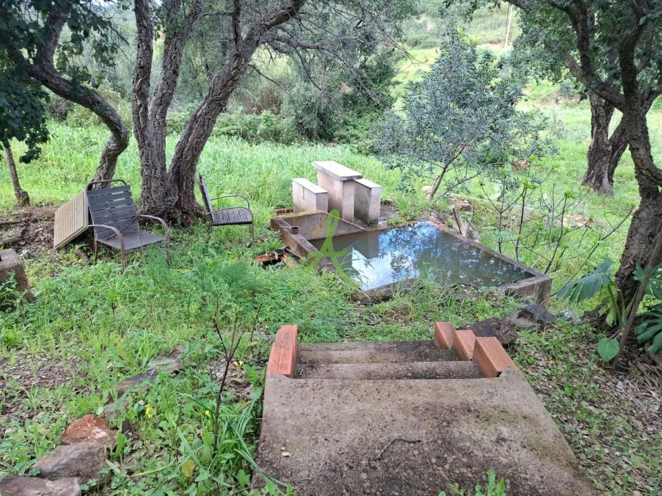 Terreno para Venda em Mexilhoeira Grande Foto 23