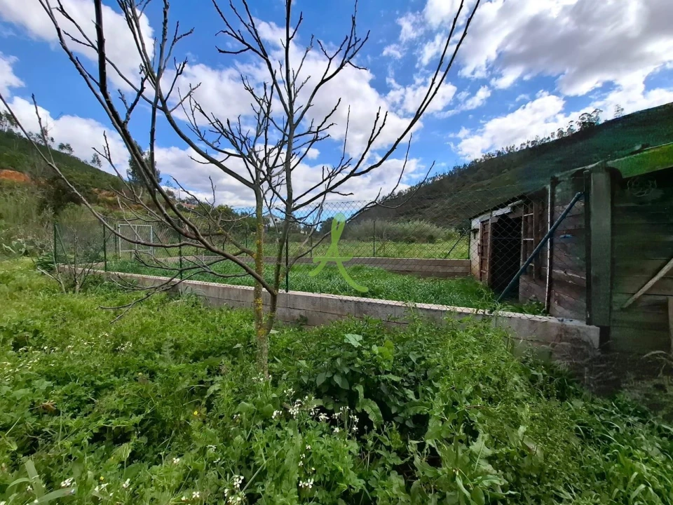 Terreno para Venda em Mexilhoeira Grande Foto 4