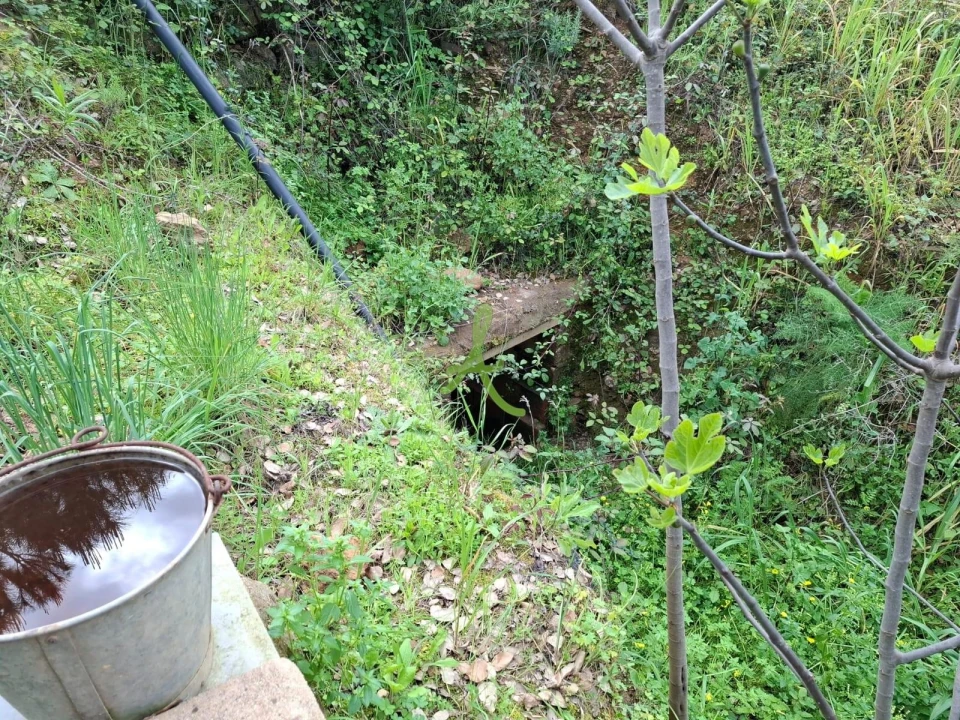 Terreno para Venda em Mexilhoeira Grande Foto 17