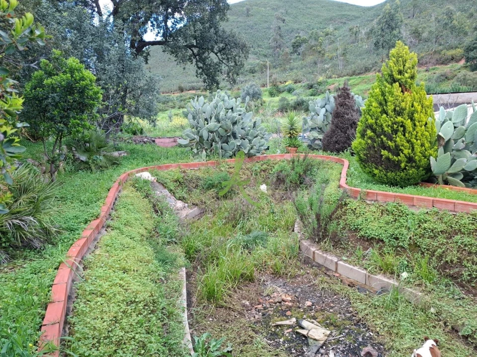 Terreno para Venda em Mexilhoeira Grande Foto 11