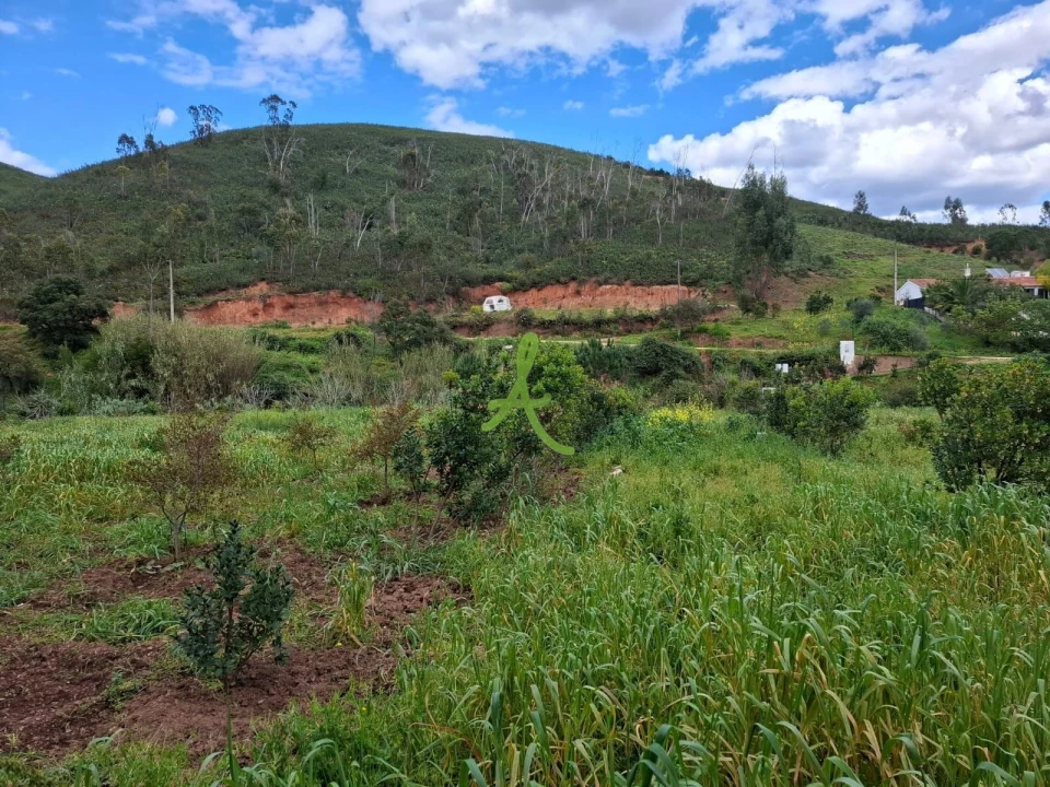 Terreno para Venda em Mexilhoeira Grande Foto 49