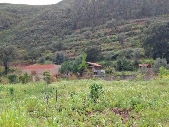 Terreno para Venda em Mexilhoeira Grande Foto 9