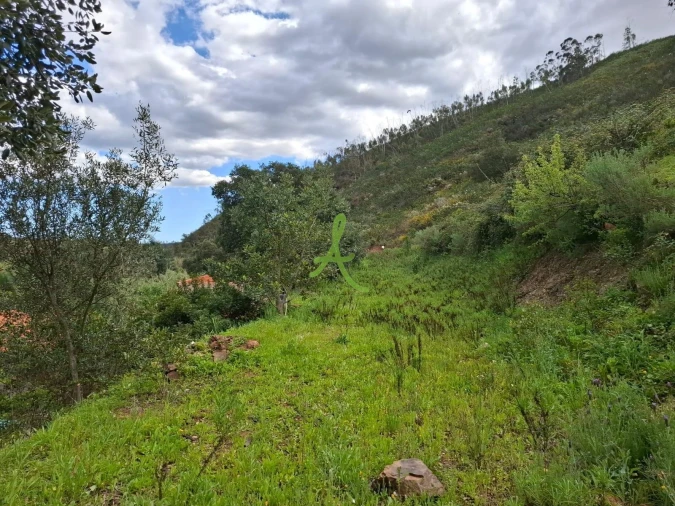 Terreno para Venda em Mexilhoeira Grande Foto 26