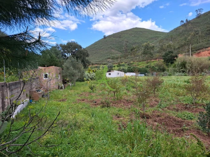Terreno para Venda em Mexilhoeira Grande Foto 48