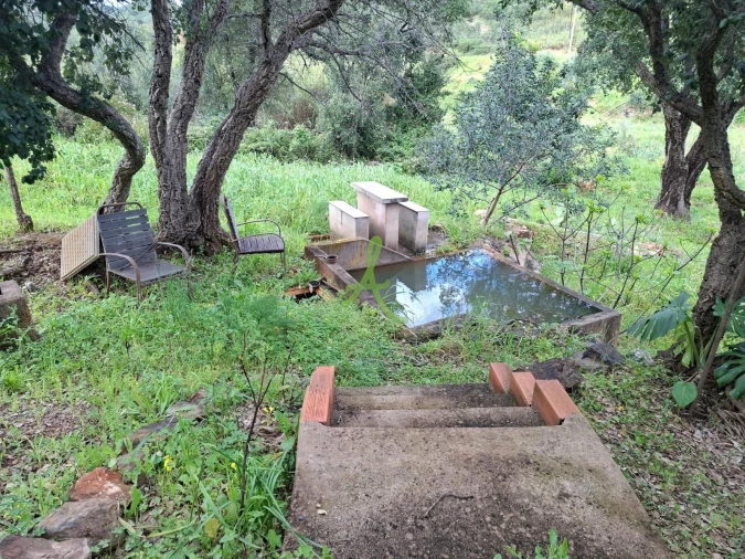 Terreno para Venda em Mexilhoeira Grande Foto 23