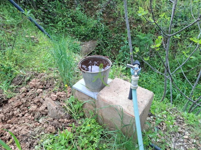 Terreno para Venda em Mexilhoeira Grande Foto 18