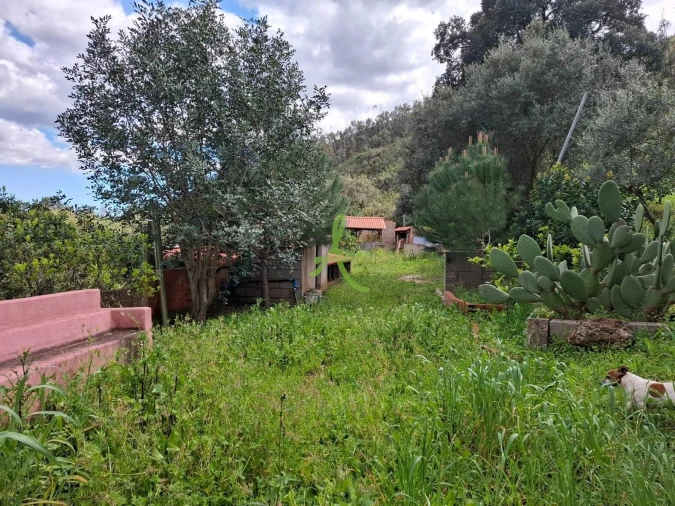 Terreno para Venda em Mexilhoeira Grande Foto 27