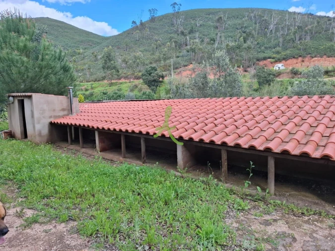 Terreno para Venda em Mexilhoeira Grande Foto 19