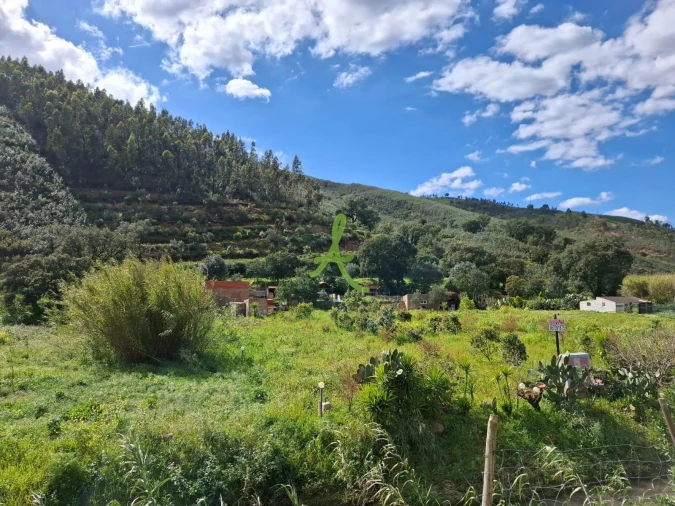 Terreno para Venda em Mexilhoeira Grande Foto 3