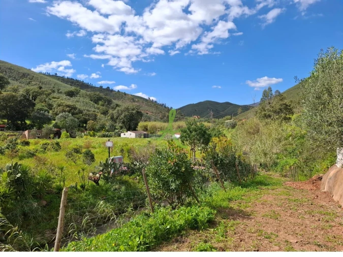 Terreno para Venda em Mexilhoeira Grande Foto 3