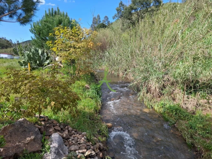 Terreno para Venda em Mexilhoeira Grande Foto 52