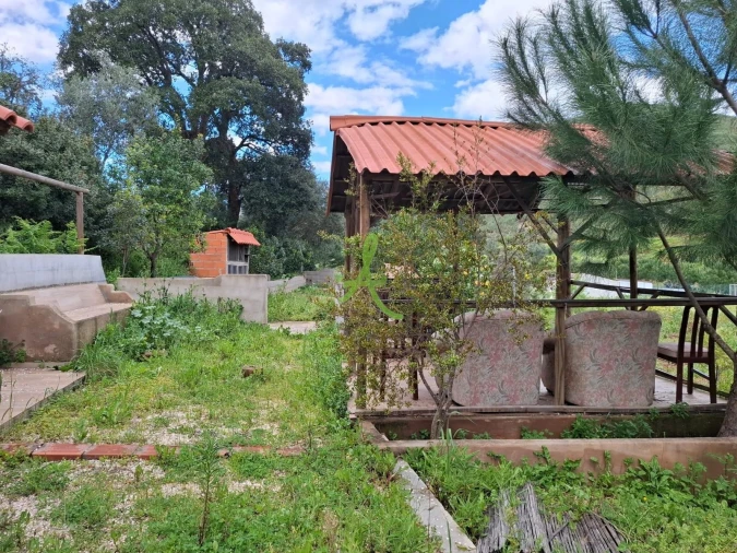 Terreno para Venda em Mexilhoeira Grande Foto 46