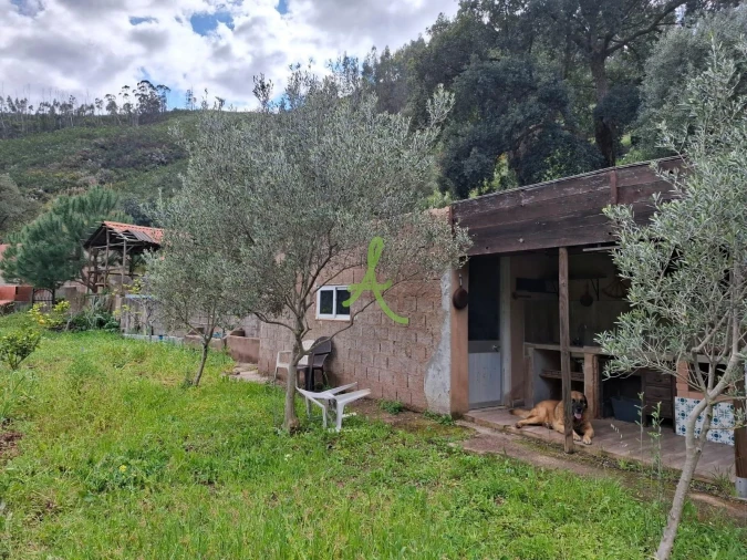 Terreno para Venda em Mexilhoeira Grande Foto 6