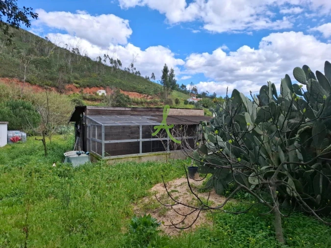 Terreno para Venda em Mexilhoeira Grande Foto 8
