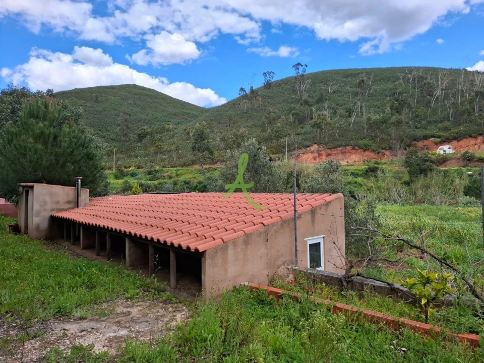 Terreno para Venda em Mexilhoeira Grande Foto 20