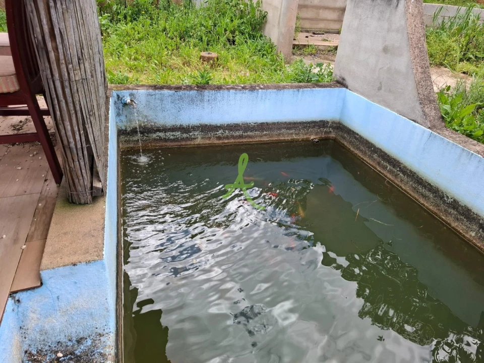 Terreno para Venda em Mexilhoeira Grande Foto 40