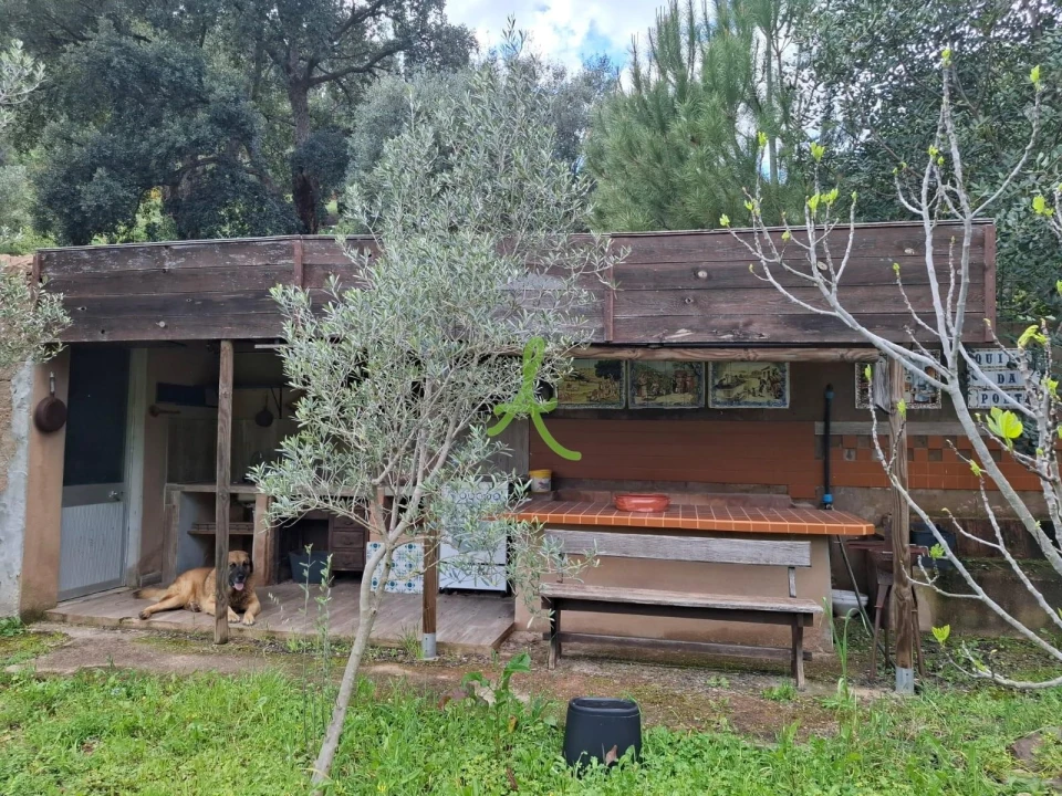 Terreno para Venda em Mexilhoeira Grande Foto 14