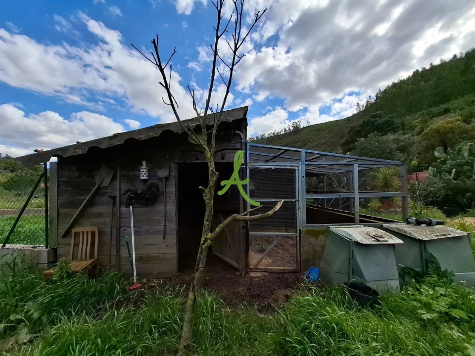 Terreno para Venda em Mexilhoeira Grande Foto 5