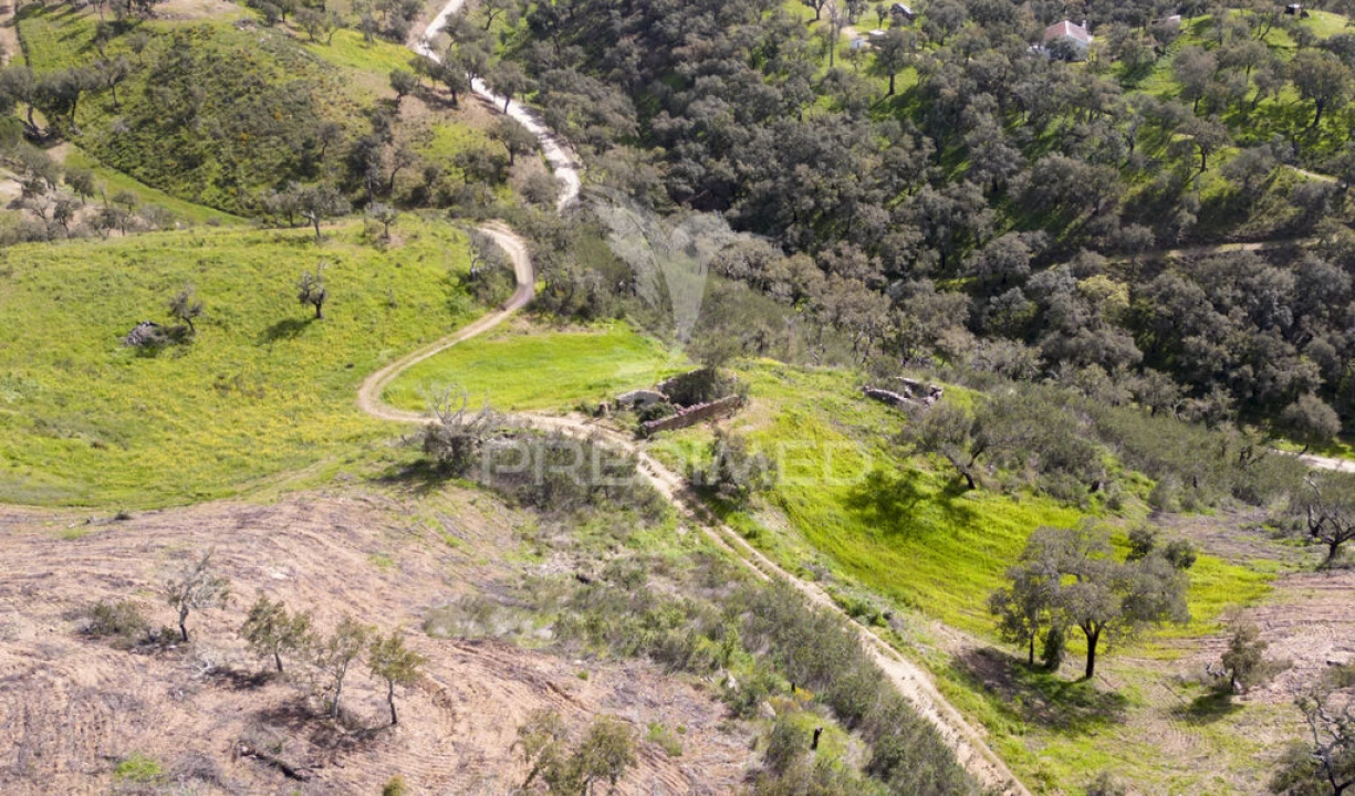 Quinta T2 para Venda em São Martinho das Amoreiras Foto 7