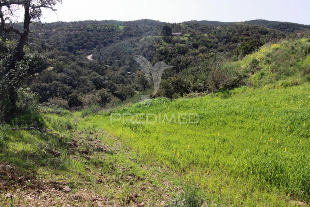 Quinta T2 para Venda em São Martinho das Amoreiras Foto 13