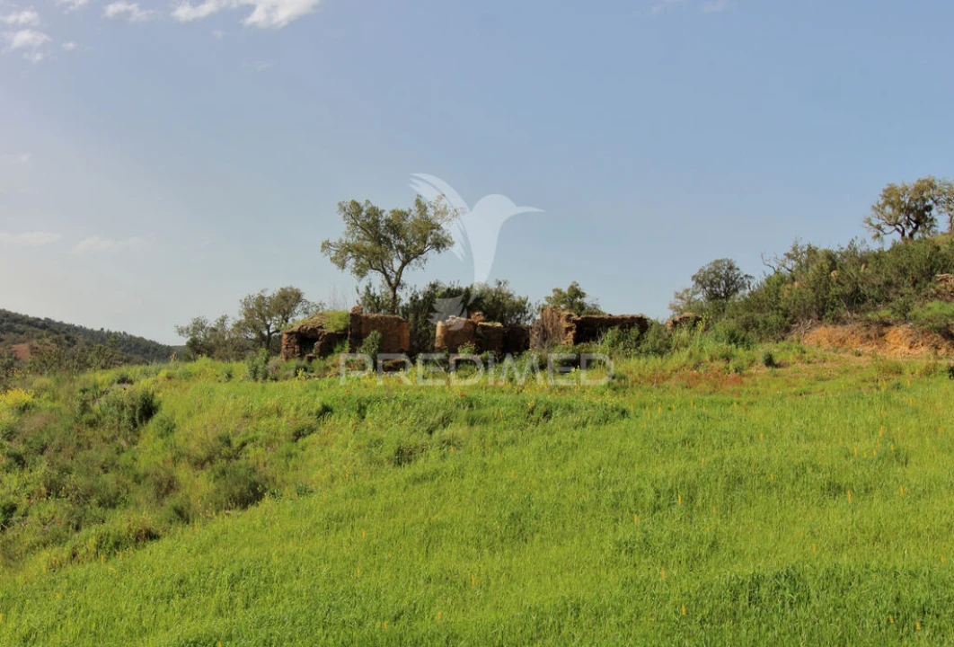 Quinta T2 para Venda em São Martinho das Amoreiras Foto 8