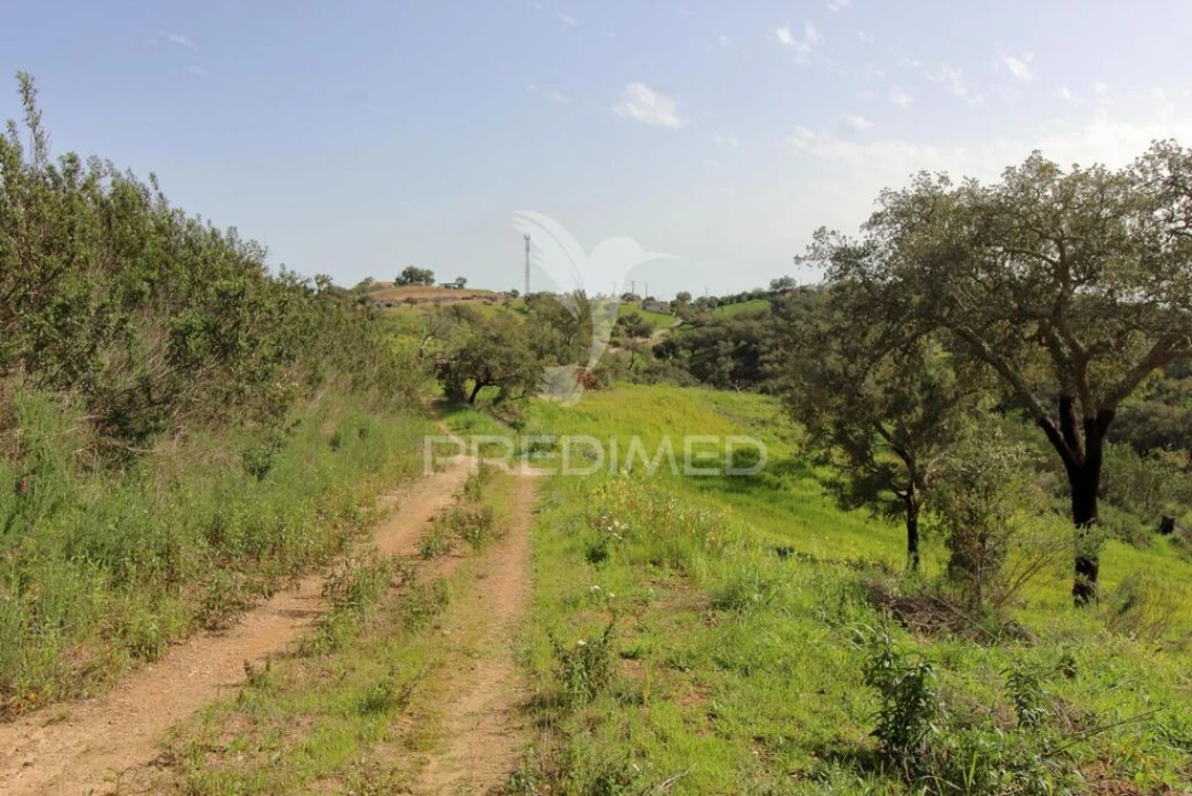 Quinta T2 para Venda em São Martinho das Amoreiras Foto 10