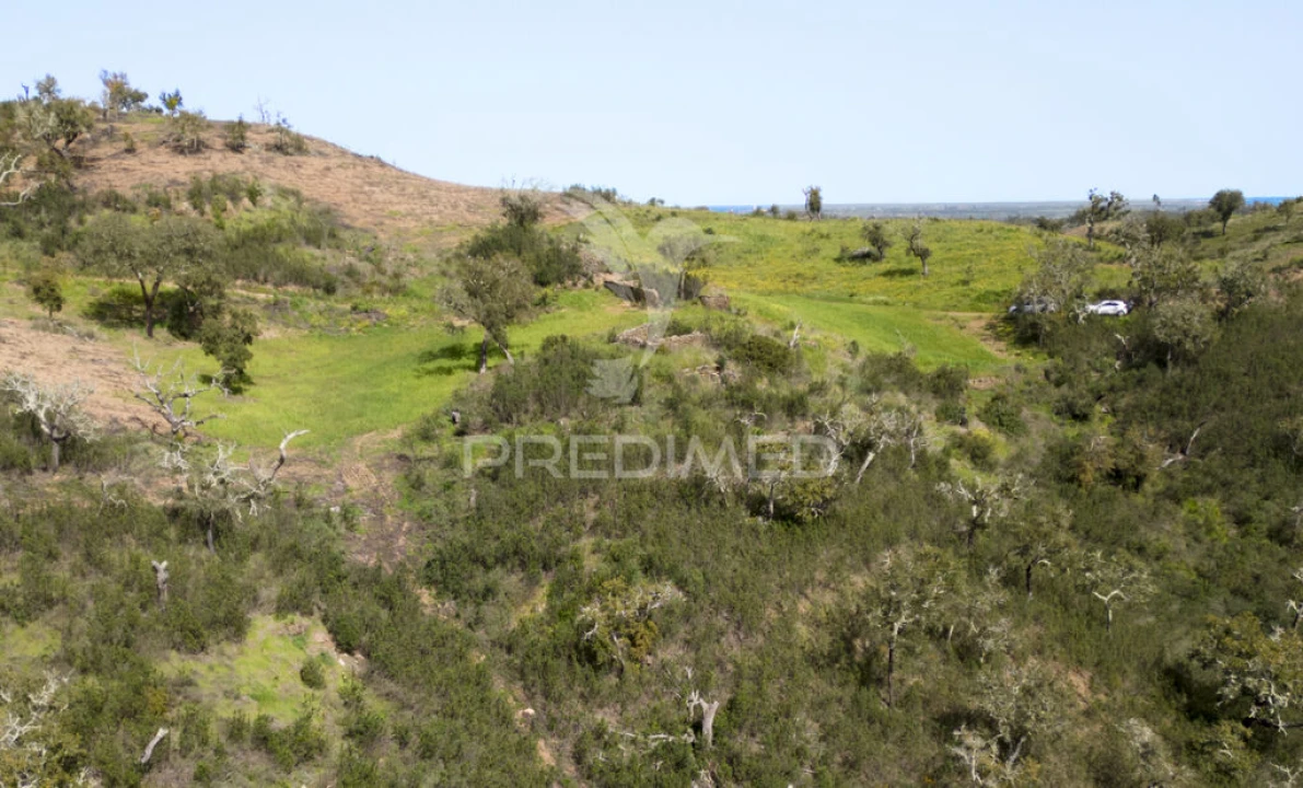 Quinta T2 para Venda em São Martinho das Amoreiras Foto 19