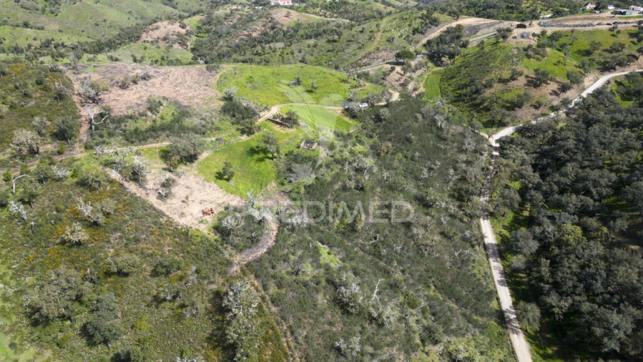 Quinta T2 para Venda em São Martinho das Amoreiras Foto 18