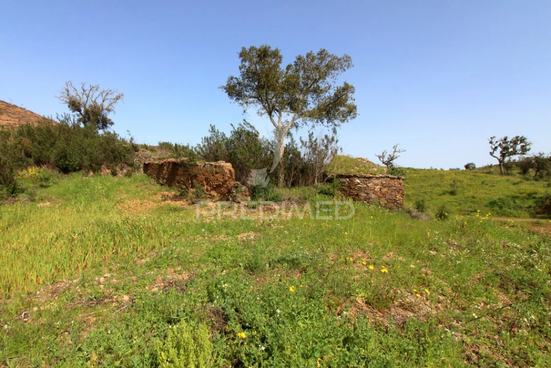 Quinta T2 para Venda em São Martinho das Amoreiras Foto 11