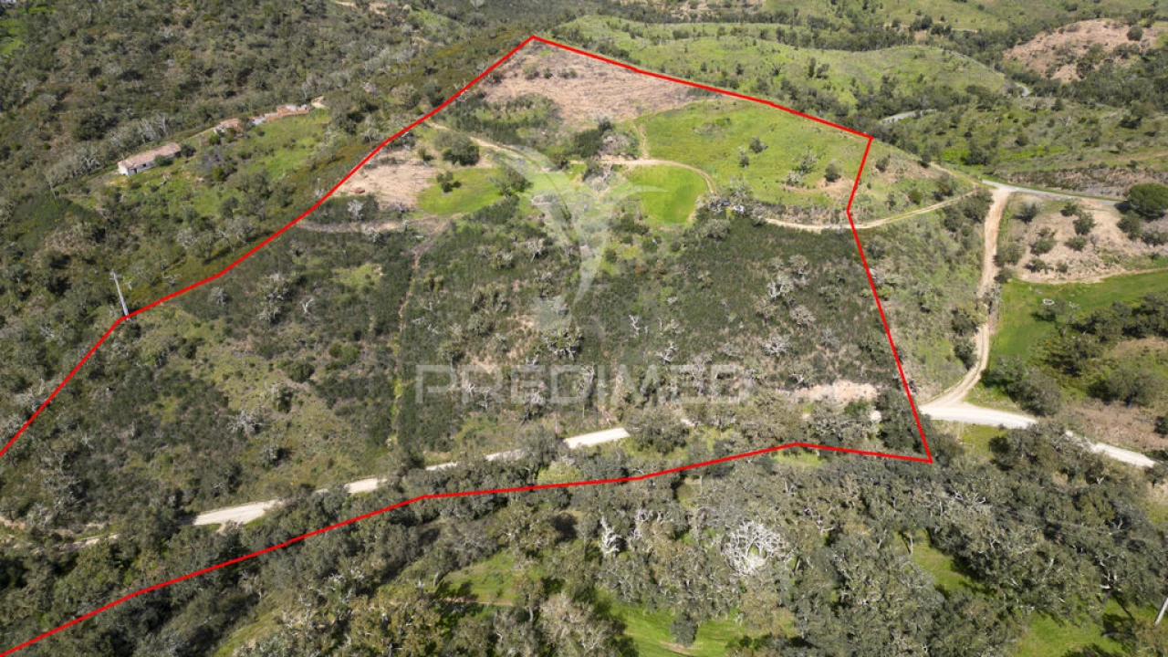 Quinta T2 para Venda em São Martinho das Amoreiras Foto 16