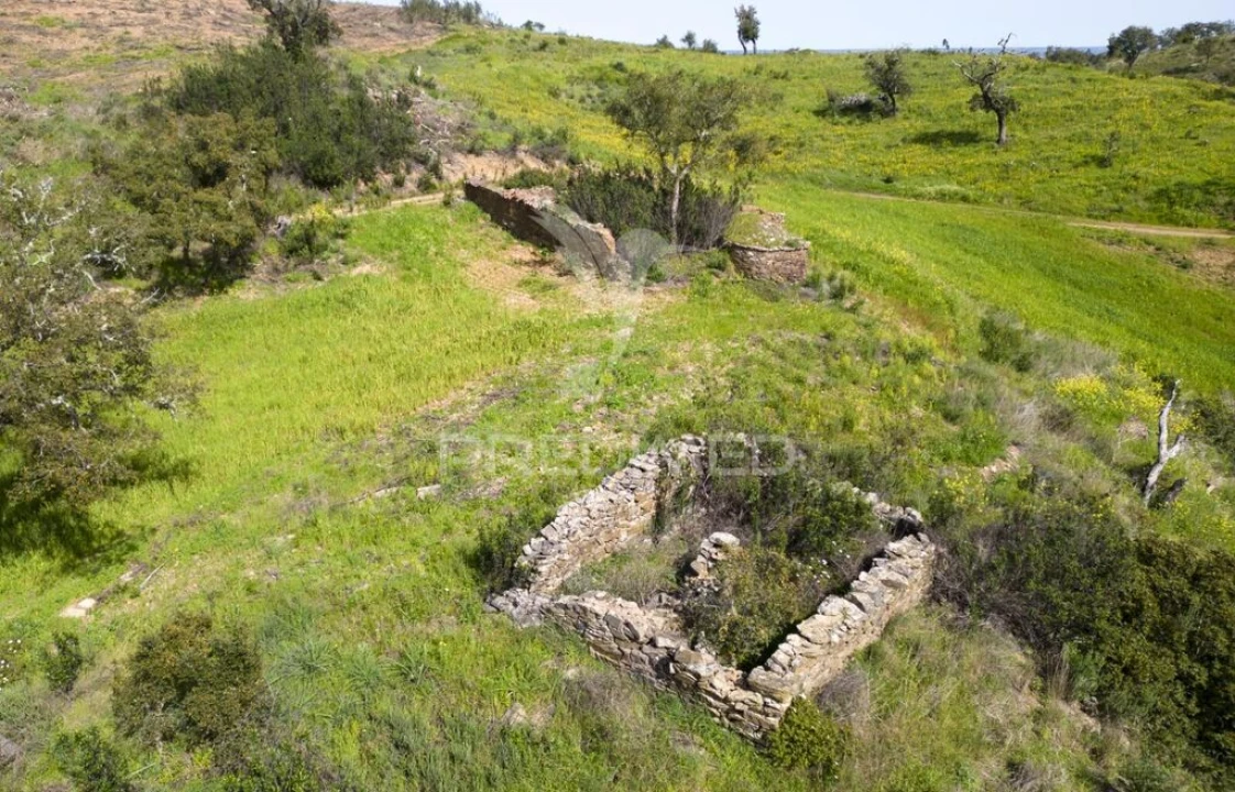 Quinta T2 para Venda em São Martinho das Amoreiras Foto 4
