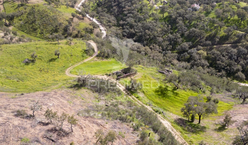Quinta T2 para Venda em São Martinho das Amoreiras Foto 7