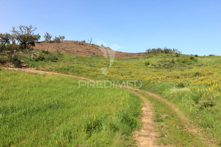 Quinta T2 para Venda em São Martinho das Amoreiras Foto 9