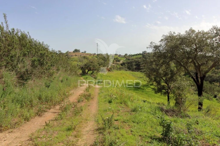 Quinta T2 para Venda em São Martinho das Amoreiras Foto 10