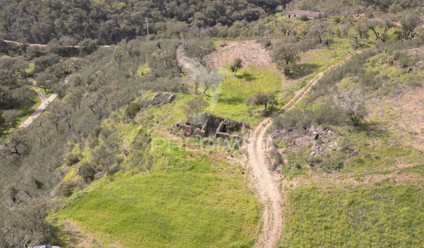 Quinta T2 para Venda em São Martinho das Amoreiras Foto 5