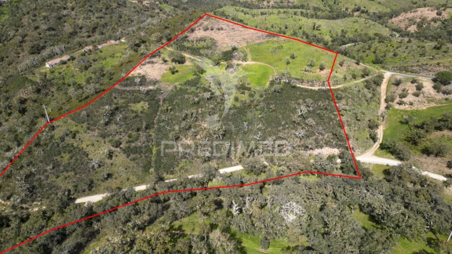 Quinta T2 para Venda em São Martinho das Amoreiras Foto 16