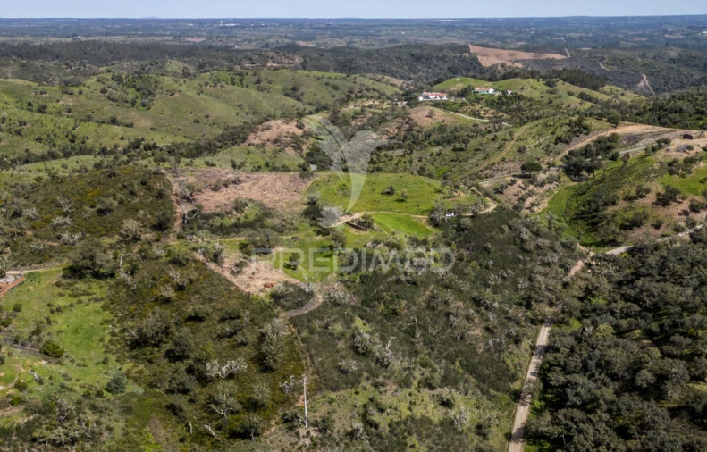 Quinta T2 para Venda em São Martinho das Amoreiras Foto 6