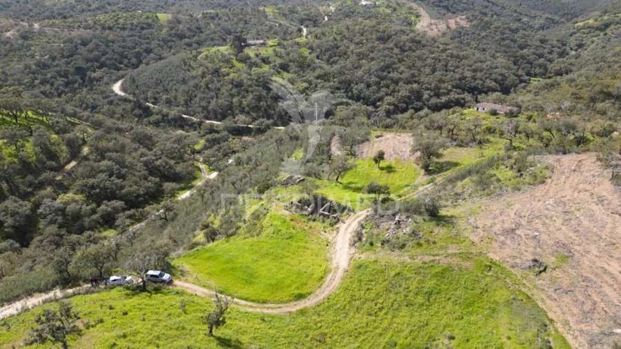 Quinta T2 para Venda em São Martinho das Amoreiras Foto 20
