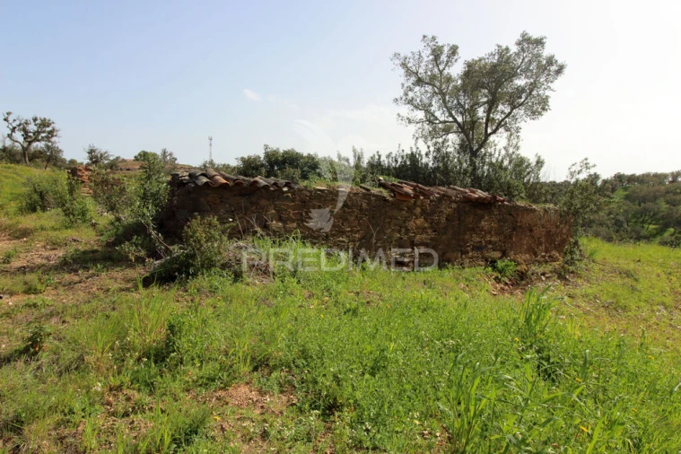 Quinta T2 para Venda em São Martinho das Amoreiras Foto 14