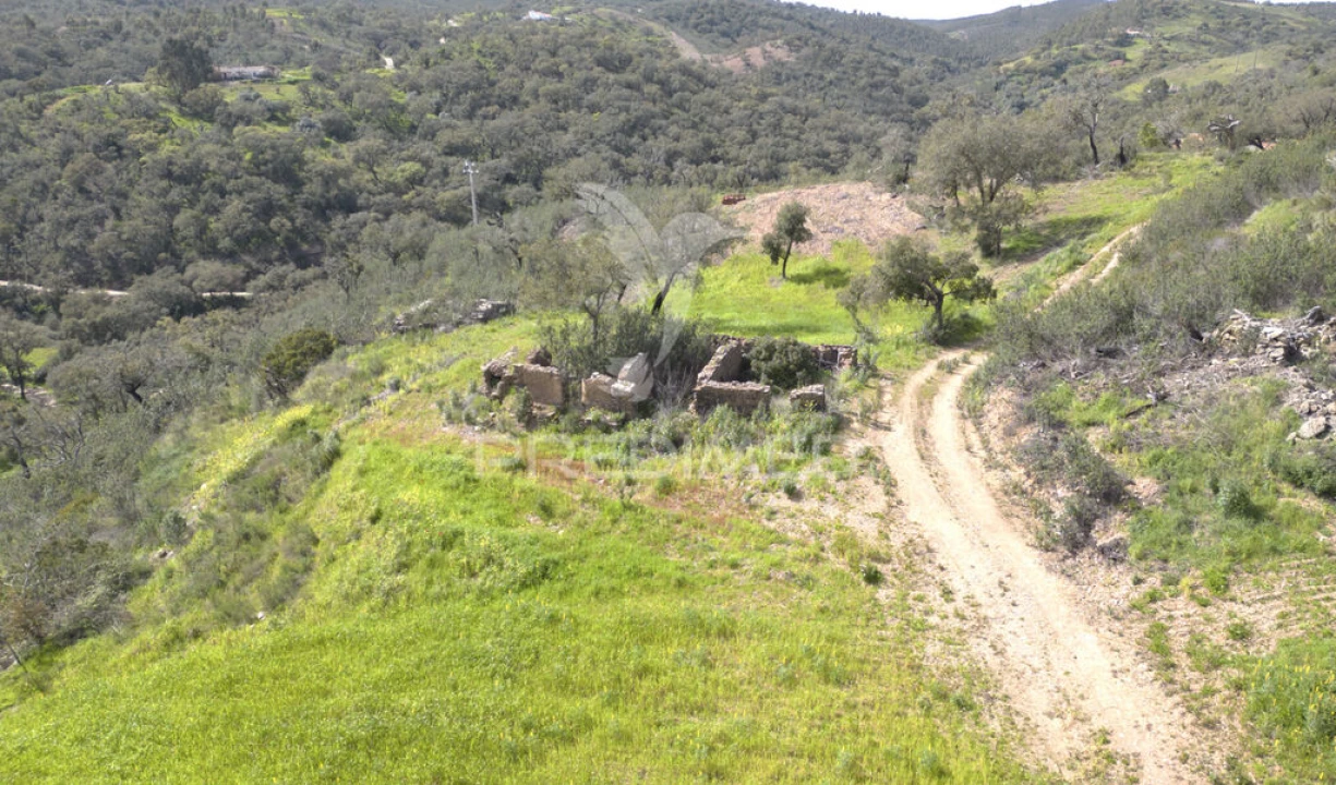 Quinta T2 para Venda em São Martinho das Amoreiras Foto 3